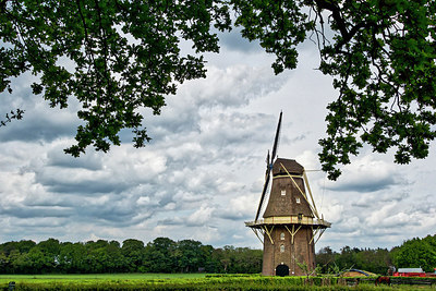 BUITEN BEELD Foto: 294669