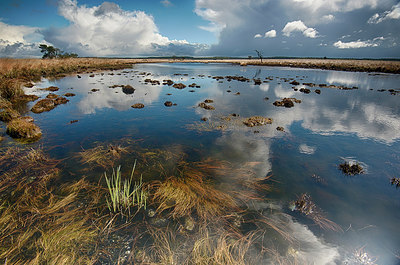 BUITEN BEELD Foto: 294713