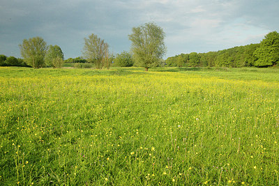 BUITEN BEELD Foto: 294722