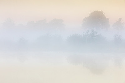 BUITEN BEELD Foto: 294834