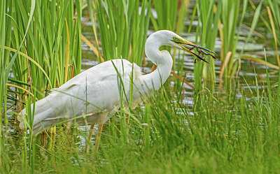 BUITEN BEELD Foto: 294844