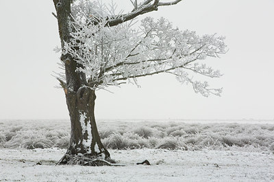 BUITEN BEELD Foto: 294870