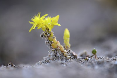 BUITEN BEELD Foto: 294875