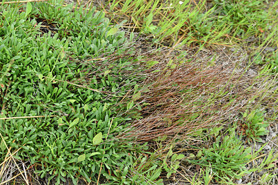 BUITEN BEELD Foto: 294899