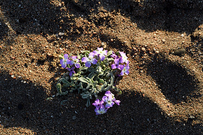 BUITEN BEELD Foto: 294956
