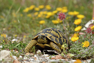BUITEN BEELD Foto: 295001