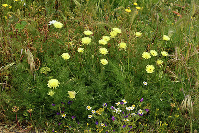 BUITEN BEELD Foto: 295006