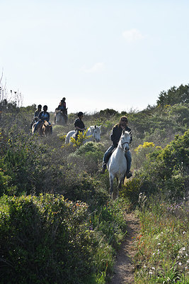 BUITEN BEELD Foto: 295067