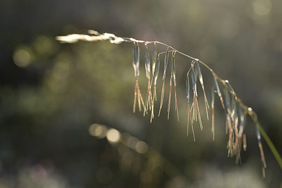 BUITEN BEELD Foto: 295164