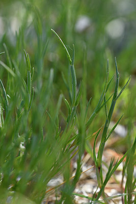 BUITEN BEELD Foto: 295176