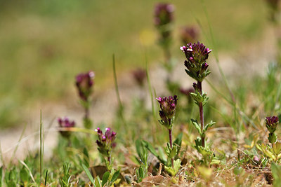 BUITEN BEELD Foto: 295196