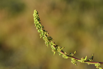 BUITEN BEELD Foto: 295205