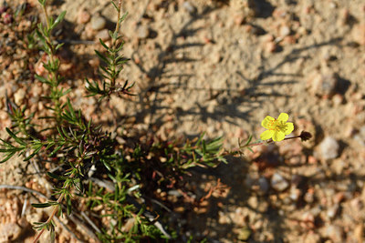 BUITEN BEELD Foto: 295219