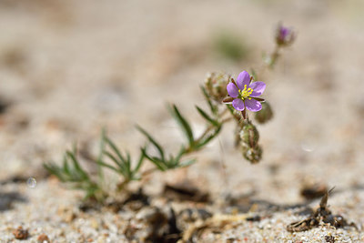 BUITEN BEELD Foto: 295226