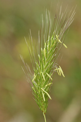 BUITEN BEELD Foto: 295239