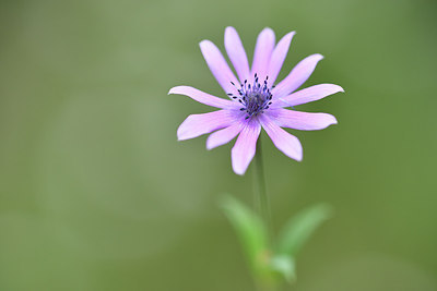 BUITEN BEELD Foto: 295255