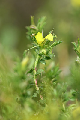 BUITEN BEELD Foto: 295272