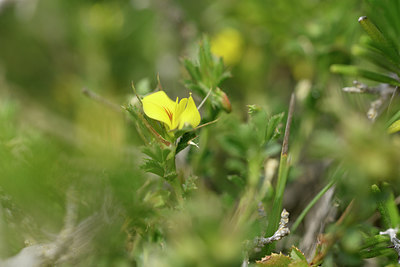 BUITEN BEELD Foto: 295273