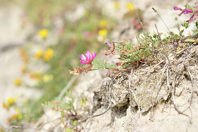 BUITEN BEELD Foto: 295281