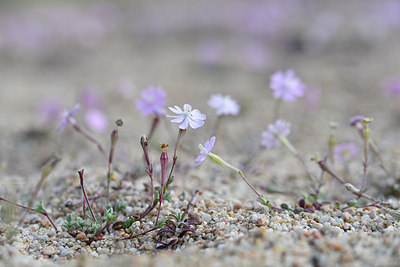 BUITEN BEELD Foto: 295295