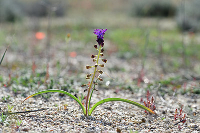 BUITEN BEELD Foto: 295312