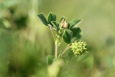 BUITEN BEELD Foto: 295330