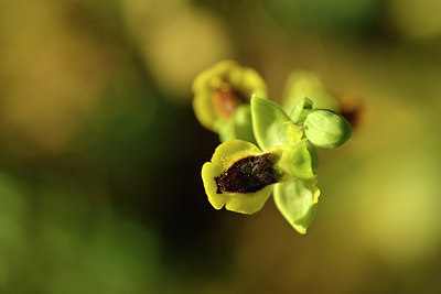 BUITEN BEELD Foto: 295363