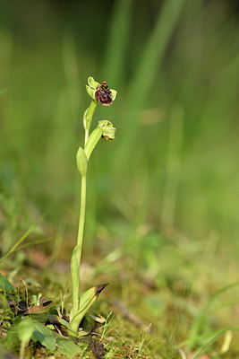 BUITEN BEELD Foto: 295378