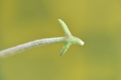 BUITEN BEELD Foto: 295395