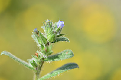 BUITEN BEELD Foto: 295408