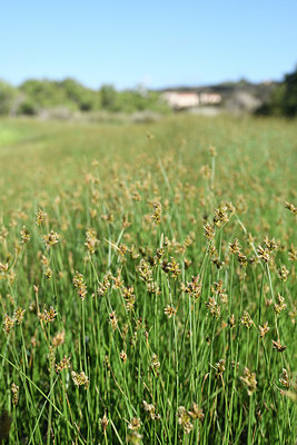 BUITEN BEELD Foto: 295453