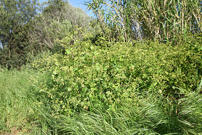 BUITEN BEELD Foto: 295458