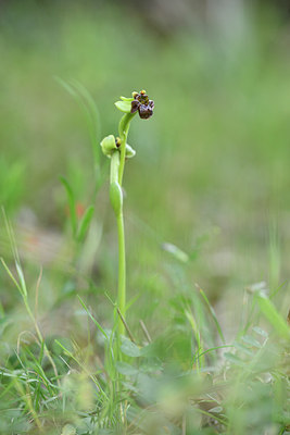 BUITEN BEELD Foto: 295467