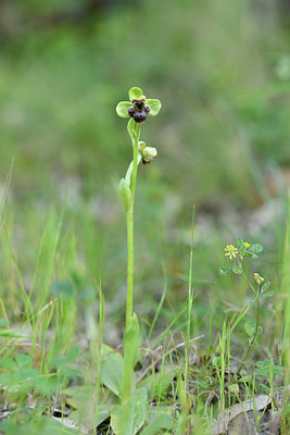 BUITEN BEELD Foto: 295470