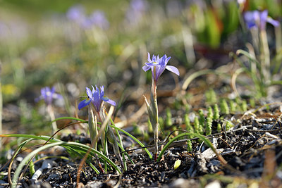 BUITEN BEELD Foto: 295511