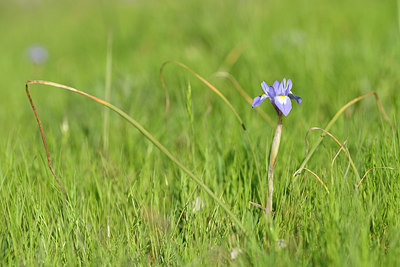 BUITEN BEELD Foto: 295512
