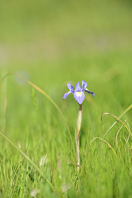 BUITEN BEELD Foto: 295513