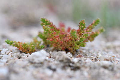 BUITEN BEELD Foto: 295555