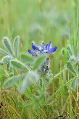 BUITEN BEELD Foto: 295562