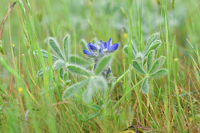 BUITEN BEELD Foto: 295563