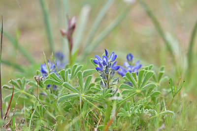 BUITEN BEELD Foto: 295570