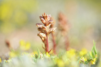 BUITEN BEELD Foto: 295619