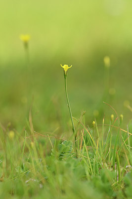 BUITEN BEELD Foto: 295641