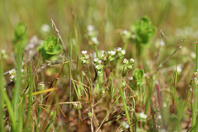 BUITEN BEELD Foto: 295647