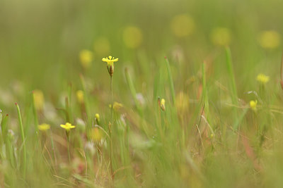 BUITEN BEELD Foto: 295650