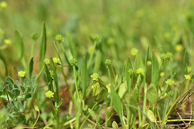 BUITEN BEELD Foto: 295653