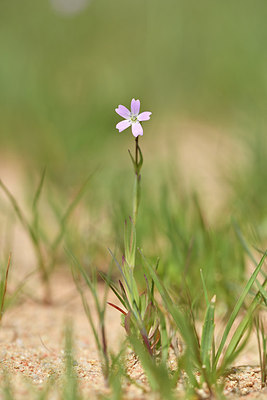 BUITEN BEELD Foto: 295664