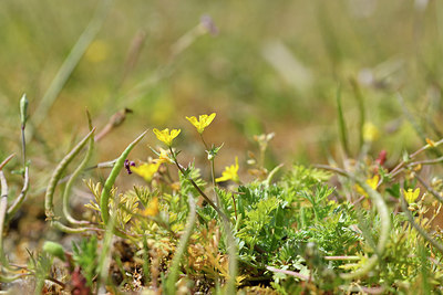 BUITEN BEELD Foto: 295679