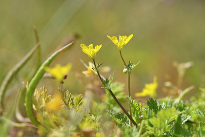 BUITEN BEELD Foto: 295680