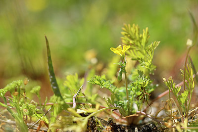 BUITEN BEELD Foto: 295681